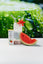 Load image into Gallery viewer, Electrolytes + Vitamin C Watermelon - 30 servings