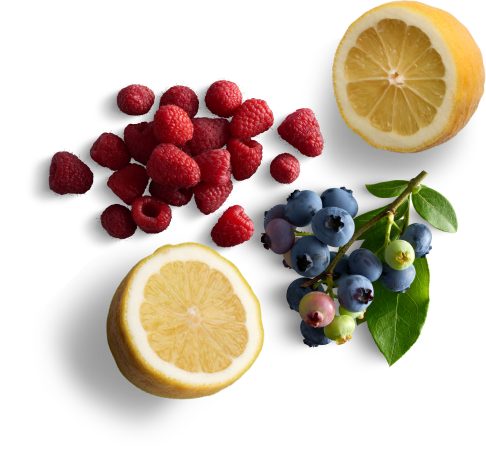 Pure Inventions Raspberry Pure Inventions: Water Infusion Drops from Nutritionists